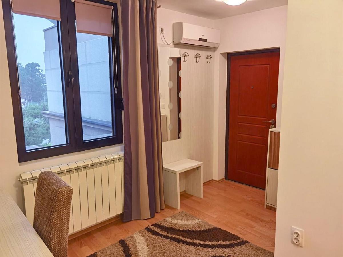 Alo Alo Apartman 6 Kruševac エクステリア 写真